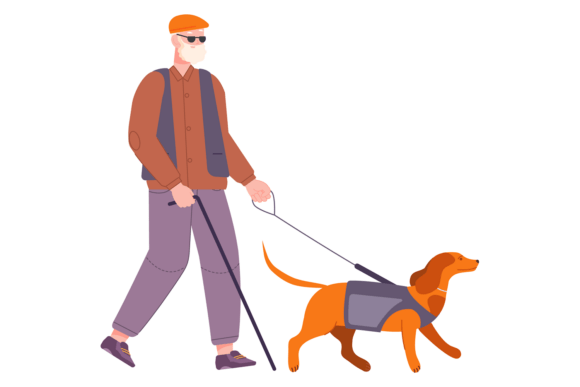 Blind Old Man Walking with Guide Dog